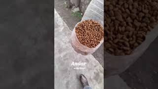 Ömeri Son Görüşüm I लल Şfet