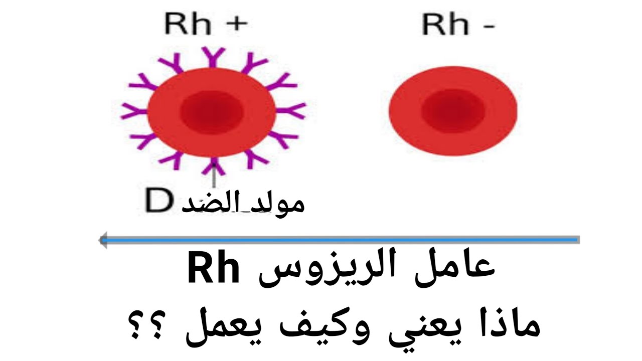 عامل الريزوس ماذا يعني وكيف يعمل كيفية تحديده موجب(+) او سالب (-) سنة ...