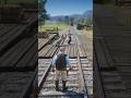 RDR2 Survival Skills Ep.1154 | Realistic WildWest Simulation #Shorts