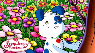 The Changing Seasons 🍓 Classic Strawberry Shortcake 🍓 Show For Kids