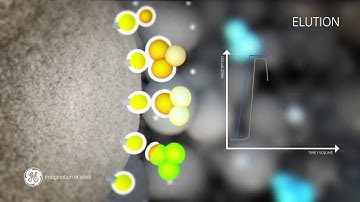 Principle of Hydrophobic Interaction Chromatography