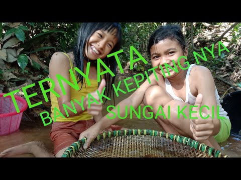 GADIS CILIK Nyari kepiting di sungai Kecil!!