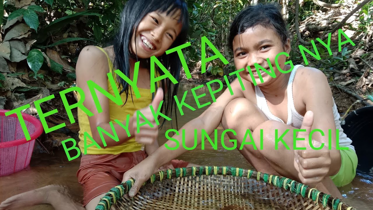 GADIS CILIK Nyari kepiting di sungai Kecil!!