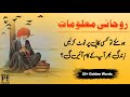 حکمت علم اور دانائی کی باتیں Hikmat Ki Batain In Urdu PEGAM E ELAM