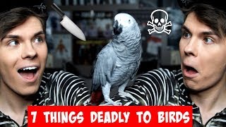 7 Things In Your Home That Can Kill Your Bird! (MUST WATCH)