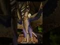 ARK Survival Ascended Aberration  #ark #shorts #viralvideo #short #ultragaming #survival
