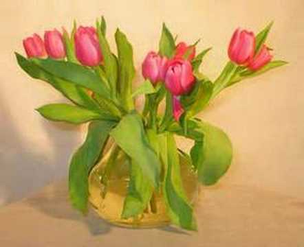 Des Tulipes Qui Bougent Youtube