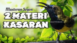 Masteran Sogon 2 Tembakan Kasar! Materi Masteran Paling Dicari! #pancingansogon #sogongacor #sogon 