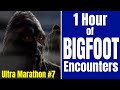 Bigfoot Ultra Marathon # 7 - Over one Hour of Bigfoot Stories - Squatch-A-Thon