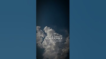 سورة الإخلاص#القرآن_الكريم#تلاوة