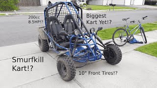 Introducing The Smurfkill Kart! Tao Tao Targa 200