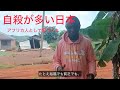 とても自殺が多い国民だと聞いて正直に思ったこと
