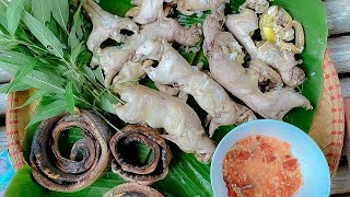 48h trải nghiệm săn bắt 