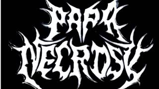 Papa Necrose - Terrorist War