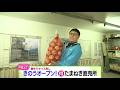 驚き!10キロで1200円!お得な穴場 たまねぎ直売所【どさんこワイド179】 2026-09-08