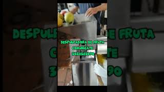 DESPULPADORA DE FRUTA