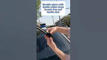 Whoop I Declare This Wiper The Best In The World 