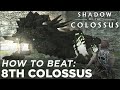 Shadow of the colossus ps4  how to beat the 8th colossus