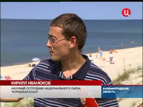 Вопрос: Как называют пляж тюленей и почему именно так?