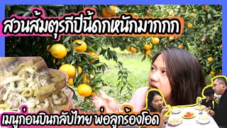 EP.225 สวนส้มบ้านไร่ตุรกีปีนี้ส้มดกและอร่อยมากหลากหลายพันธุ์ ทำเมนูง่ายก่อนบินกลับไทย พ่อลูกร้องโอด