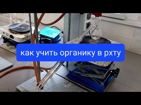 Видео: Были ли второкурсниками в старшей школе?