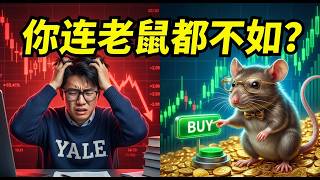 炒股实验震惊华尔街：耶鲁高材生竟惨败给老鼠！戳破华尔街最荒谬的“预测骗局”！