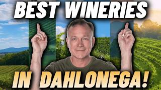 We FOUND the 6 BEST Wineries in Dahlonega GA! | North Georgia USA[Complete Guide]
