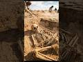 ⚡ Ancient Skeleton Comes Back to Life | Shocking Archaeology Discovery 😱#archaeology #ancienthistory