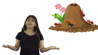 Ece Deni̇z Yildirim Hd 1080P