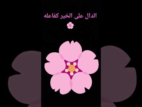 كل عام وانتم بخير 🌸