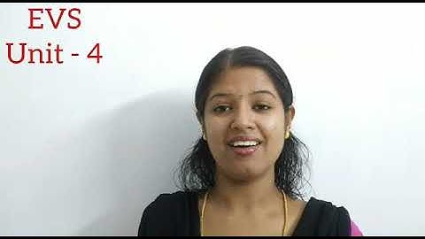 Grade 4/ unit 4 /wonder World of birds/ part 1/page no: 40-42