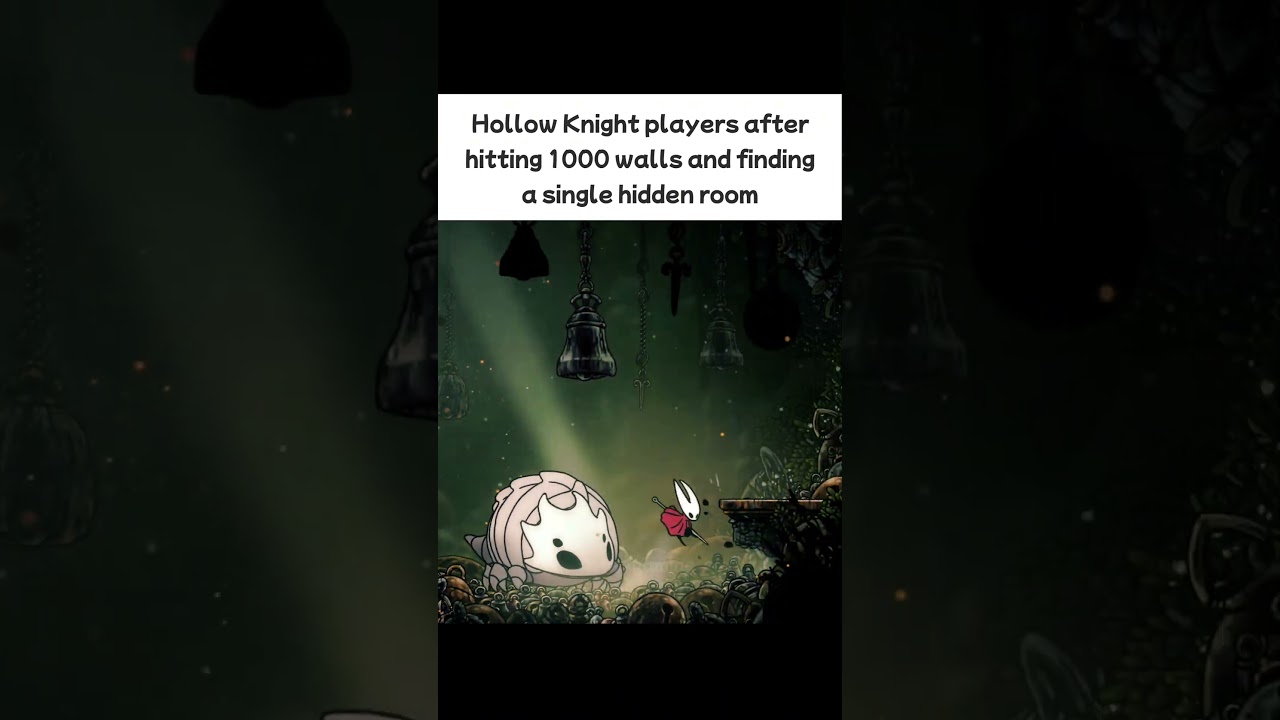 When Hollow Knight players find a single hidden room 😭