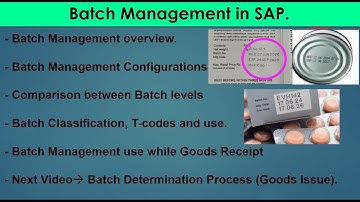 22.01) Batch Management  #sapmm #sapmaterialmanagement #sapmmtraining