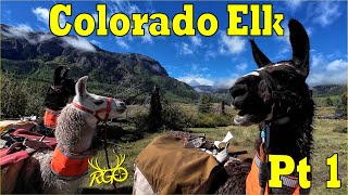 Colorado Muzzleloader Elk - Part 1 - RGO #494