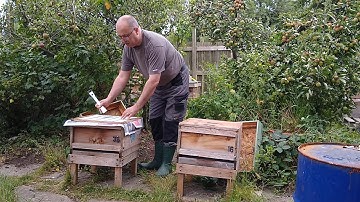 Uniting two colonies