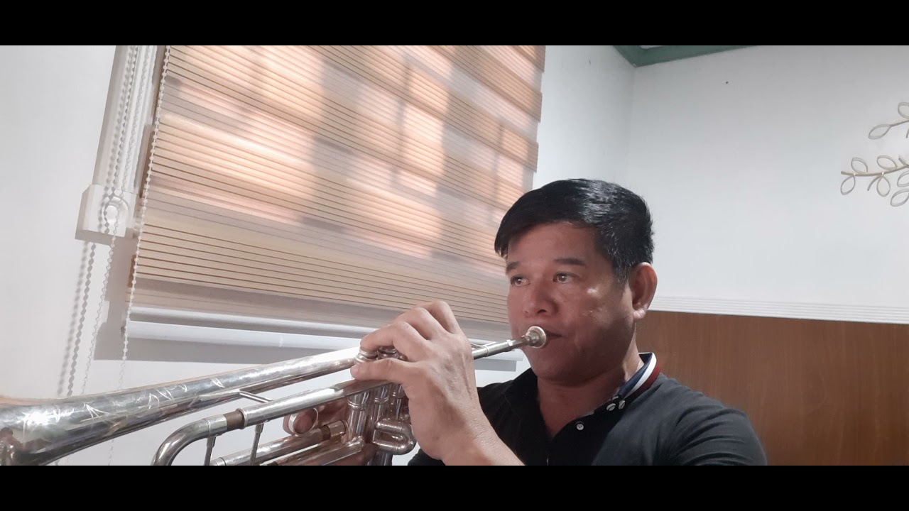 " BARRY MANILOW MEDLEY " -1 Mandy, Even Now (Trumpet cover )