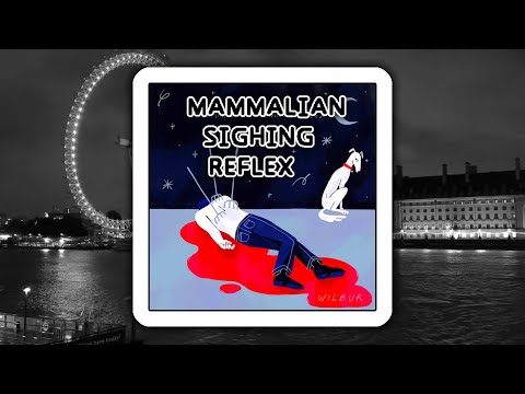 Mammalian Sighing Reflex - Wilbur Soot (Full Album)