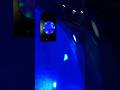 What kind of pool lights are yall running? #pool