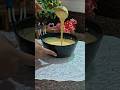 👍mummji ki farmaish par👍#ytshorts #shorts #viral #food #besanchilla #viralvideo #breakfast #diet