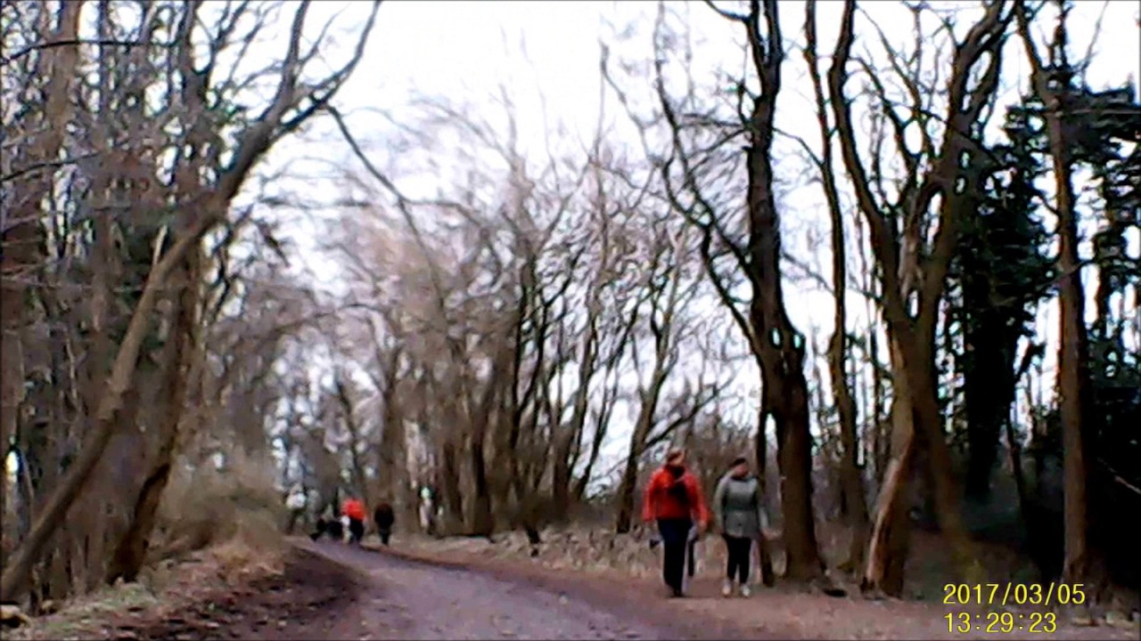Mountainbiken in Enci-Bos Sint Pietersberg Maastricht