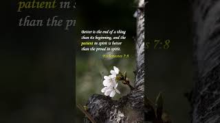 Bible verses | Patience Bible verses | Patience