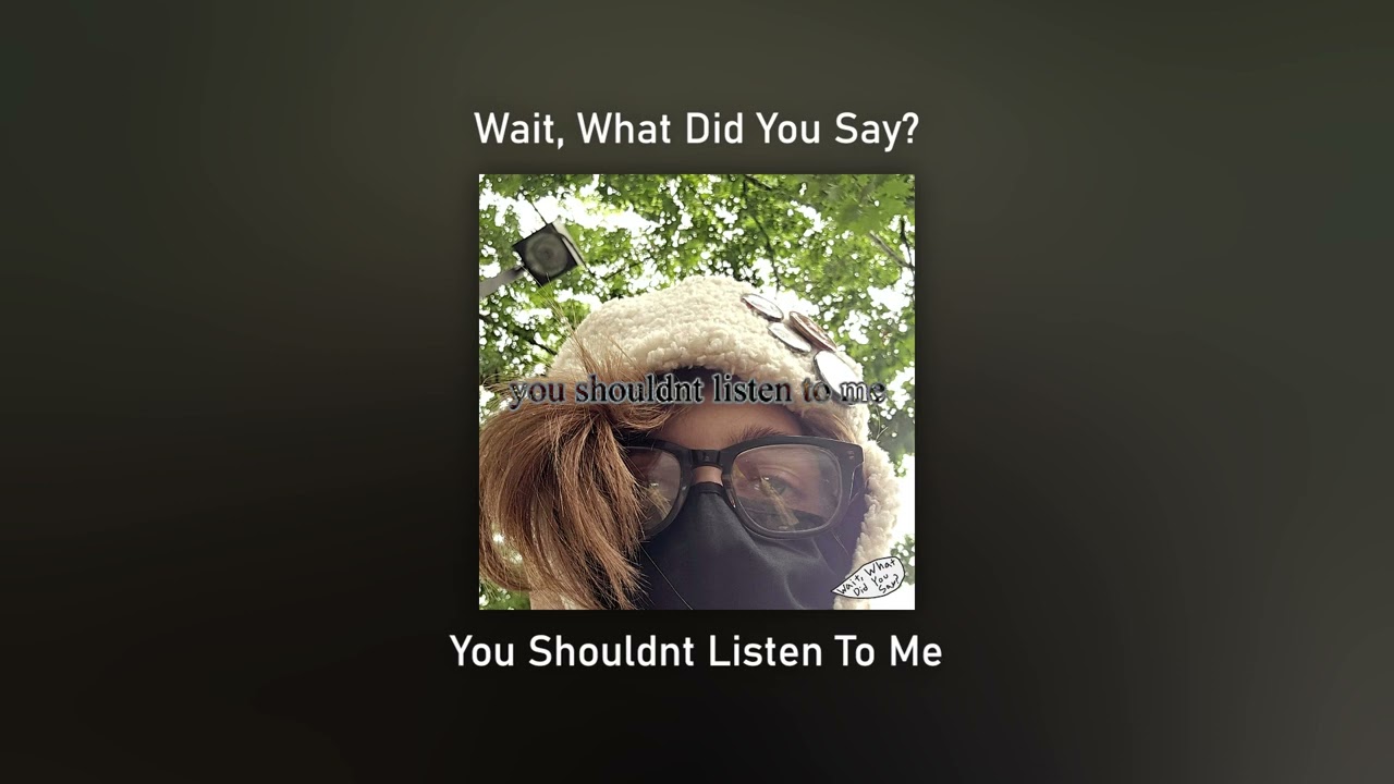 Wait, What Did You Say? - You Shouldnt Listen To Me