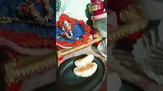 #song #love #shyambababhjan #hindugod #shyamjibhakti #bhajleshyam #laddugopal 🌹🥀💐 laddu gopal 🌹🥀🥀🥀🥀🥀