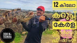 12 കിലോ കറൂപ്പ് | caught a monster grouper from Kerala Harbour