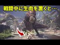 モンハン史上最も意外なモンスターの弱点 TOP7