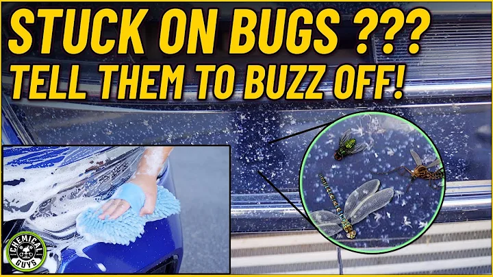 Is Your Ride Covered In Bug Guts? Remove Them Scratch-Free With This Easy Method! - Chemical Guys