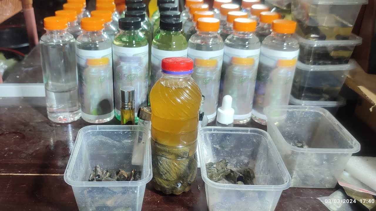 Cara mengurai sempur,vidio lanjutan tntng Penguraian Black Opal Sempur Banten