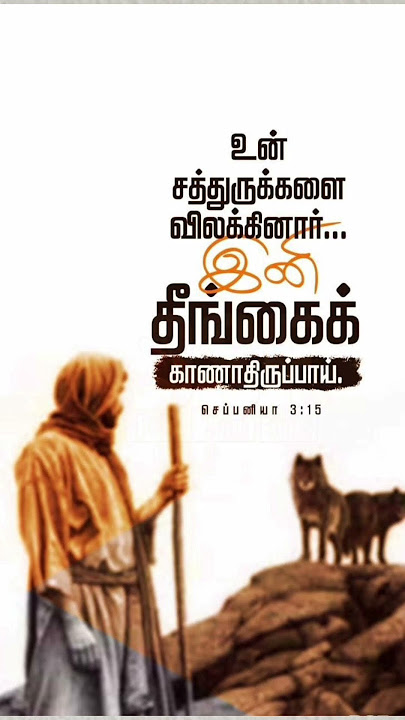 🛐விசுவாசத்திலே உறுதியாய் இருங்கள்🫂💫#david#tamilchristianwords#jesus#prayer#bible#godsgrace#shorts