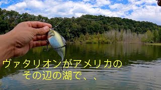 [バス釣り] ヴァタリオンをアメリカのその辺の湖に投げると。(メガバス、ジョイントベイト、megabass vatalion jointed bait)