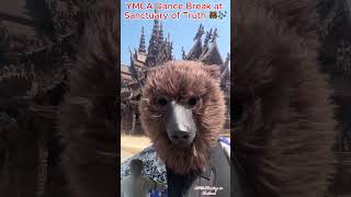 YMCA Dance Break at Sanctuary of Truth 🐻🎶 #Trump #SanctuaryOfTruth #YMCA #BearDance #shorts